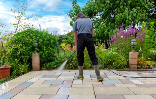 Best Animal Enclosure Cleaning  in Elkhorn, CA